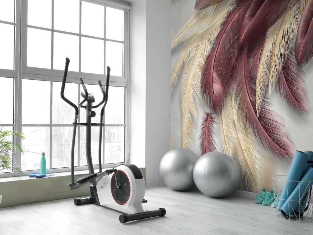 Plumas sobre hormigón