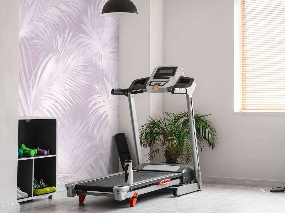 Palm Extravaganza Rosa