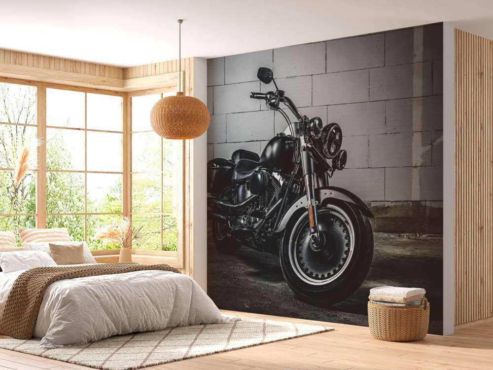 Motore splendidamente lucidato