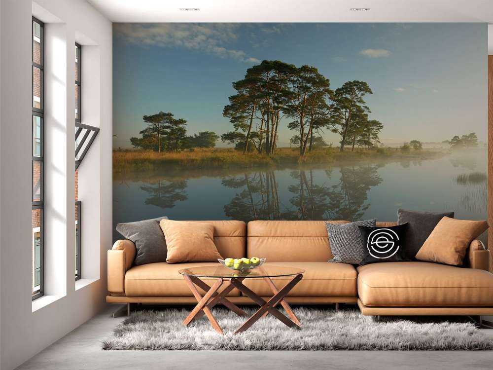 Riflessione nella brughiera