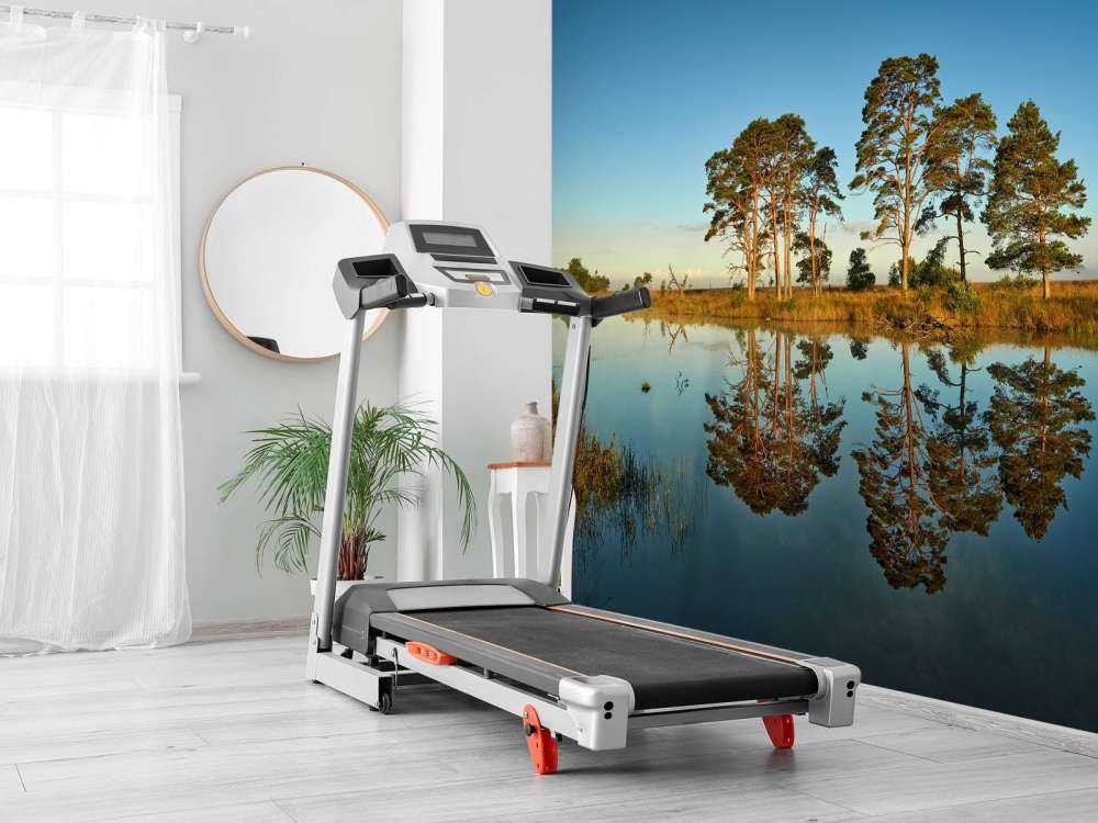 Riflessione nel lago della foresta