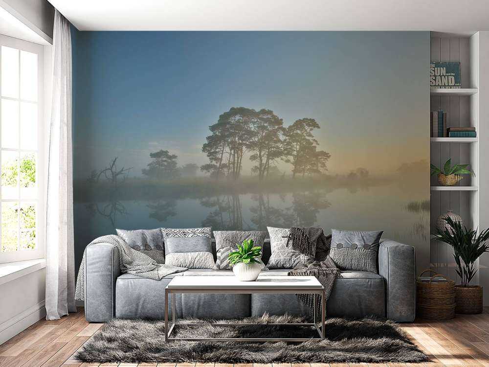 Nebbia nella brughiera