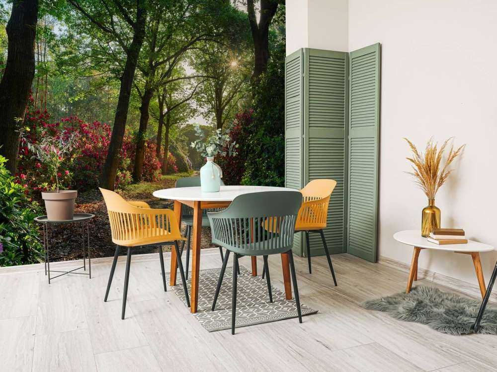 L'alba al sentiero con i rododendri