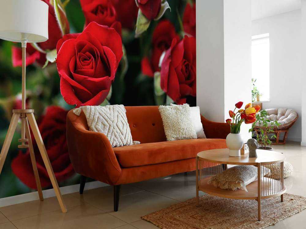 Cespuglio di rose rosse