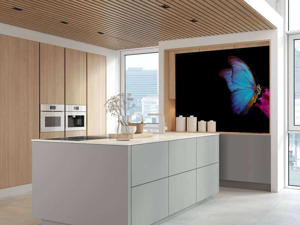 Farfalla su tulipano