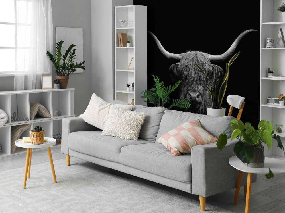 Highlander scozzese in bianco e nero