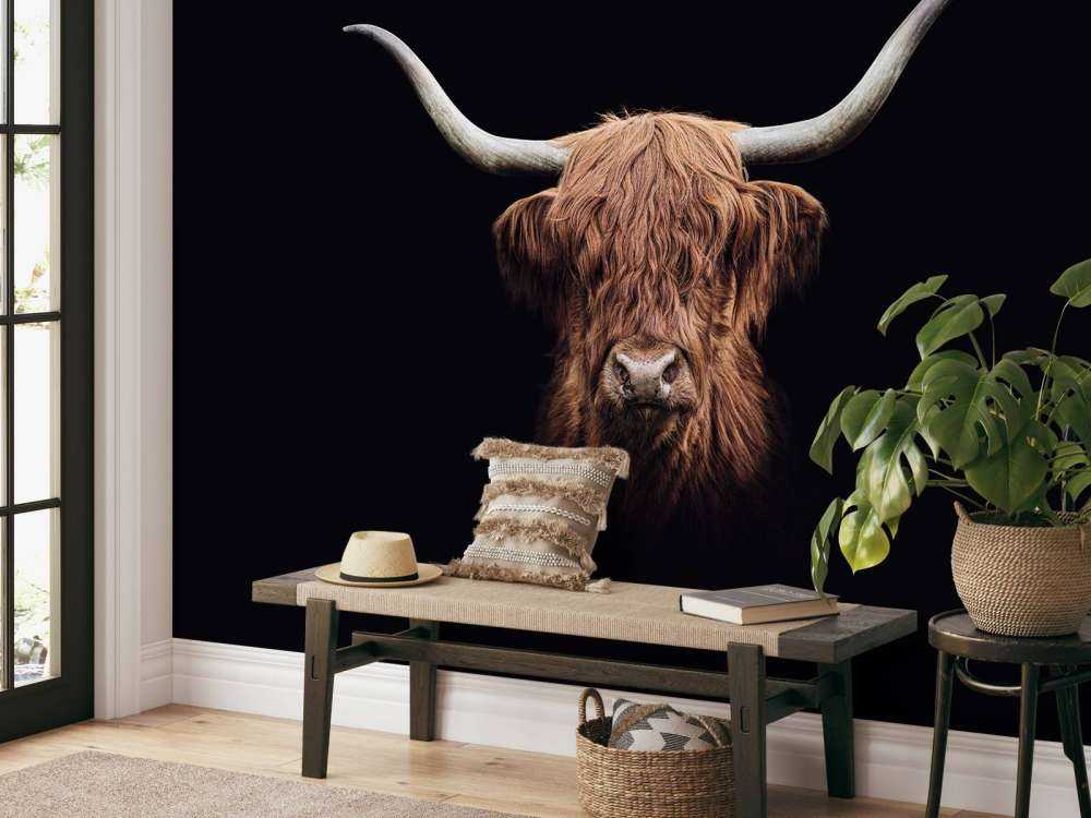 Highlander scozzese d'epoca