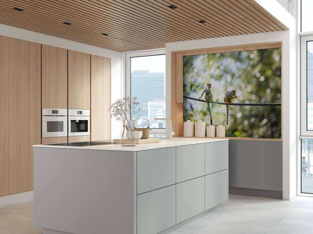 Scimmie scoiattolo su corda