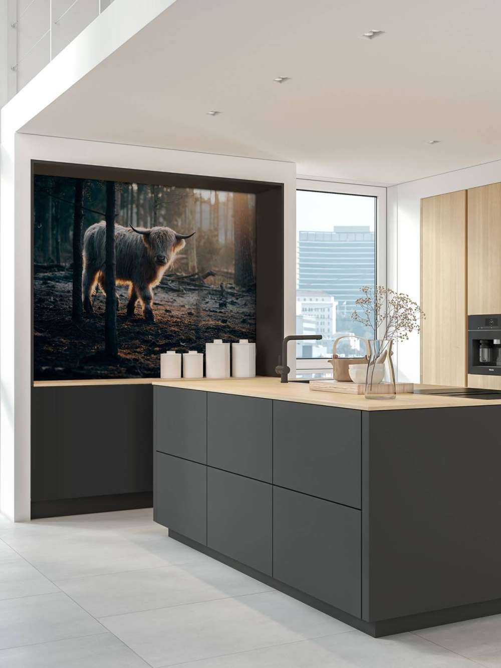 Highlander scozzese bianco