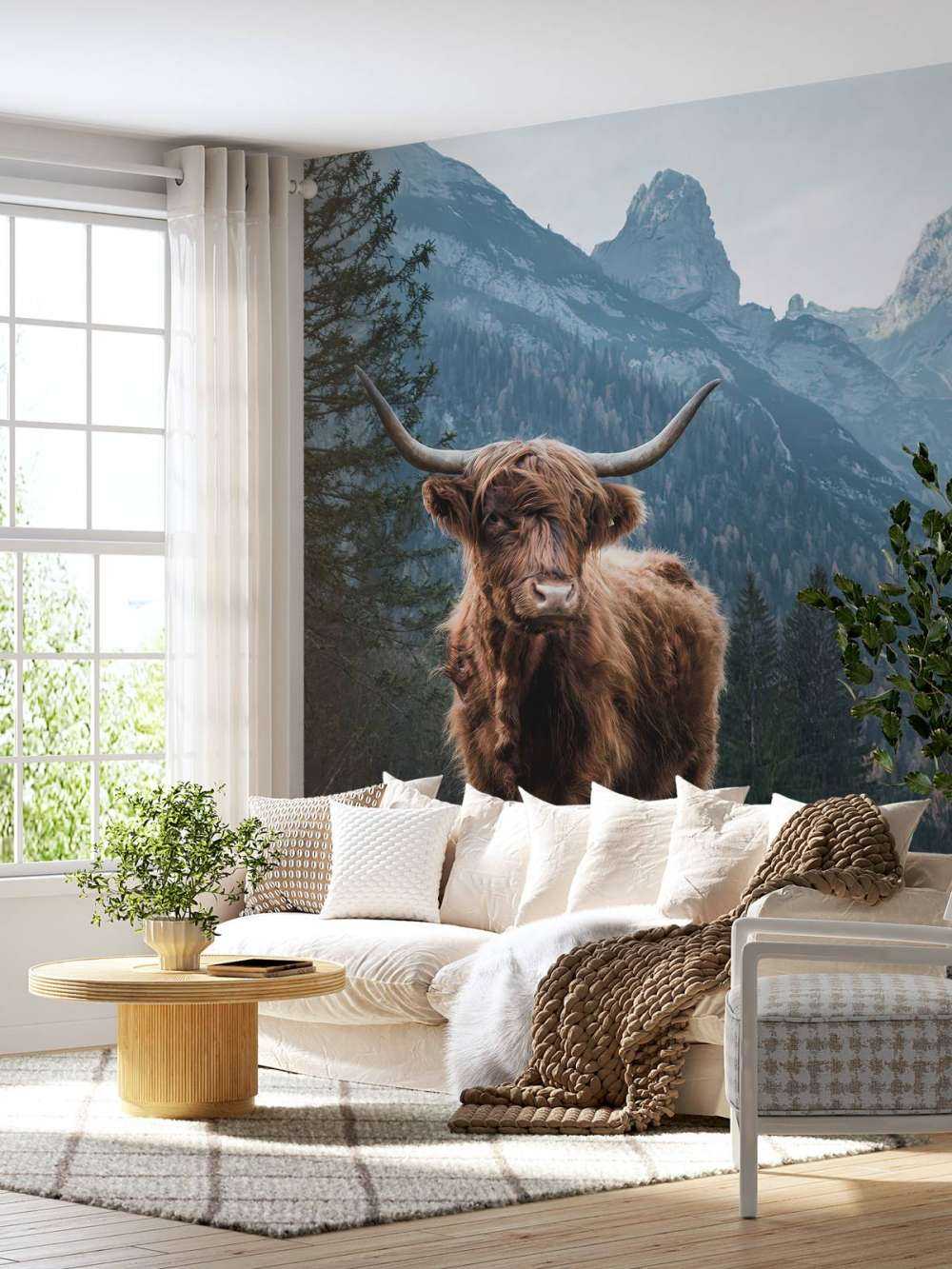 Highlander scozzese tra gli alberi