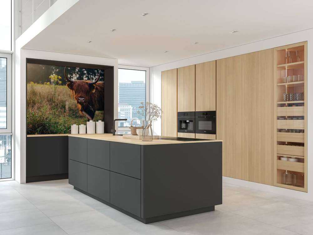 Highlander scozzese nell'erba alta