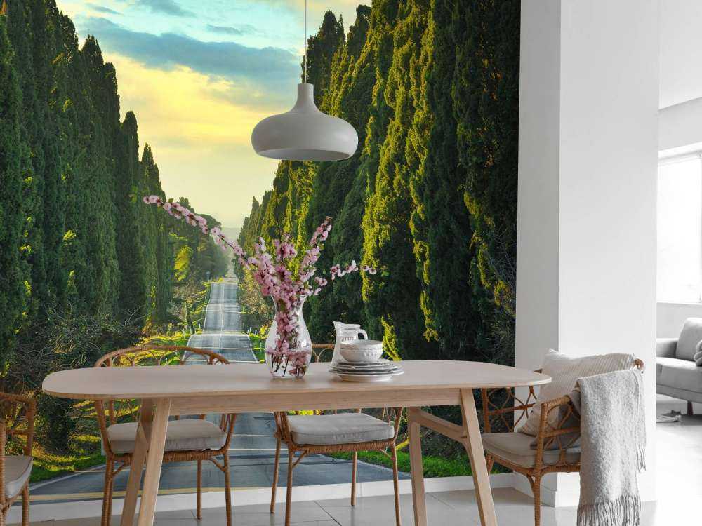 Strada con alberi ad alto fusto