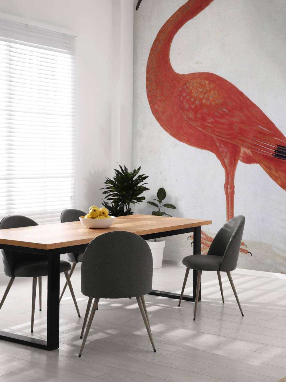 Ibis rosso con uovo