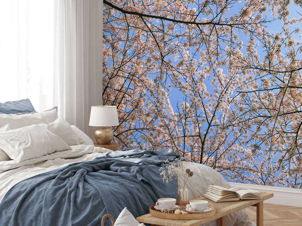 Rami in fioritura in fiore