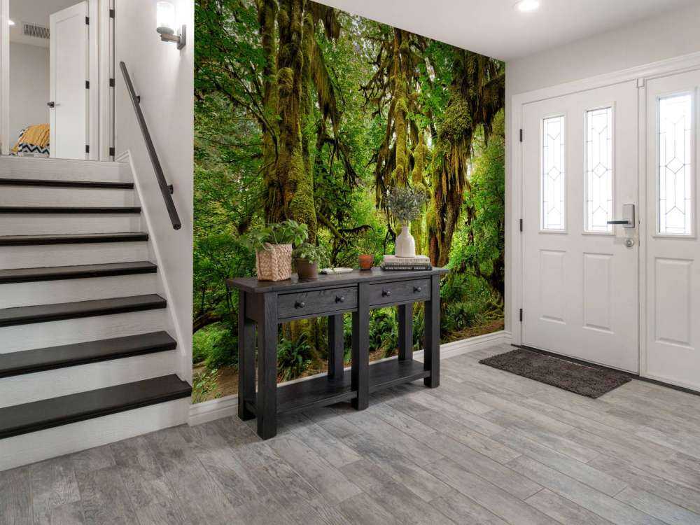 Vecchia foresta selvaggia