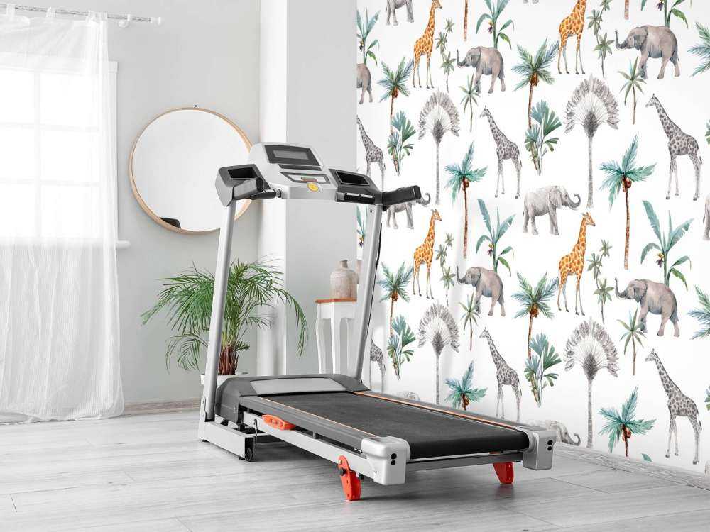 Animali della giungla