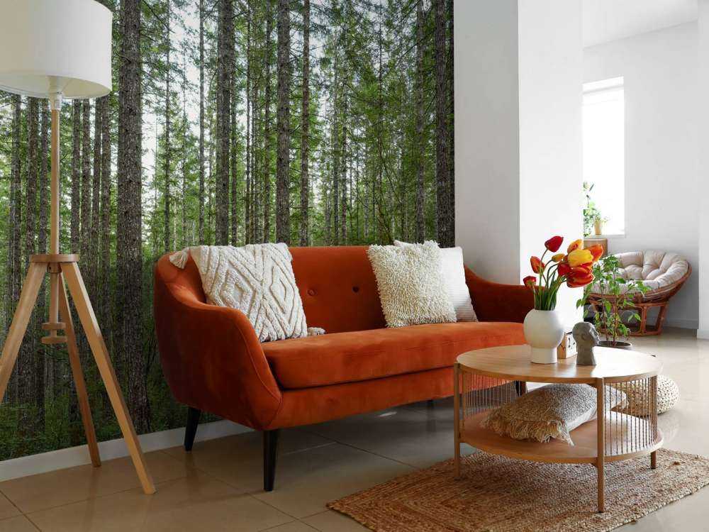 Alti alberi dritti