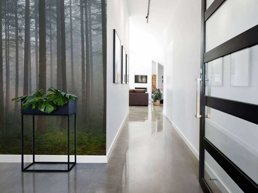 Nebbia verde foresta