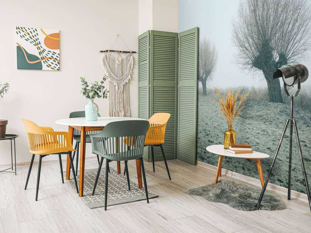 Salici di Pollard nella nebbia