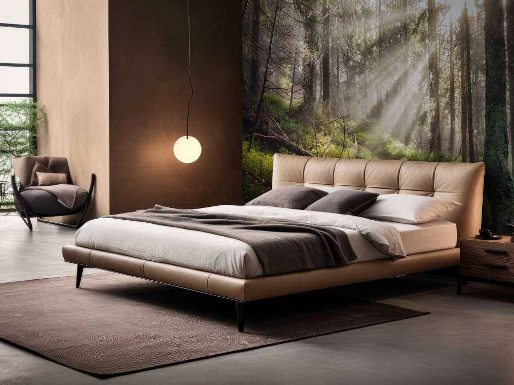 Foresta autunnale con sole