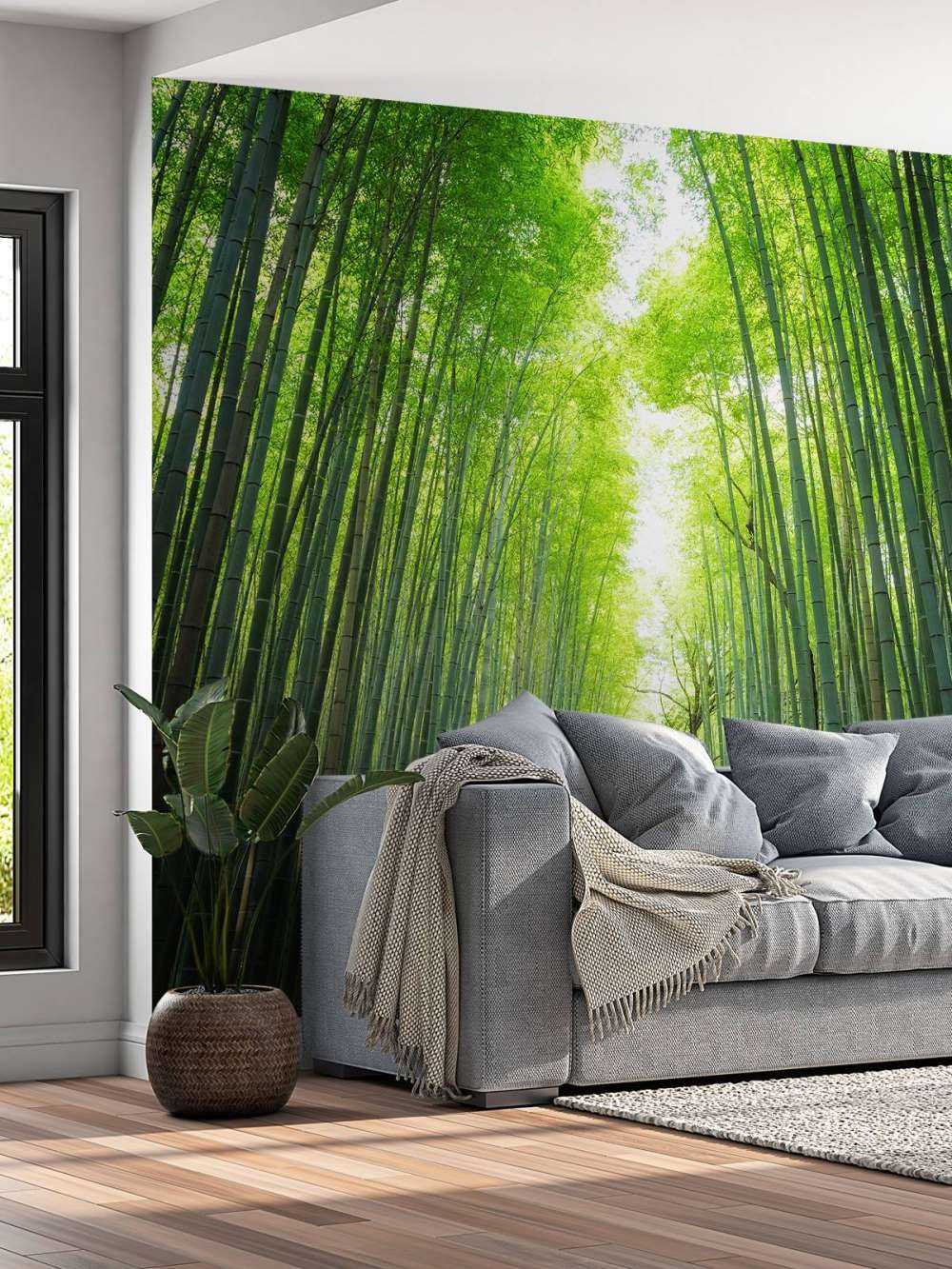 Sentiero attraverso il bambù