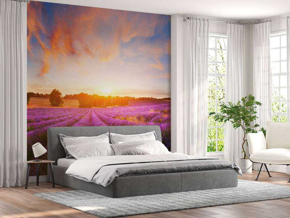 Campo con Lavanda