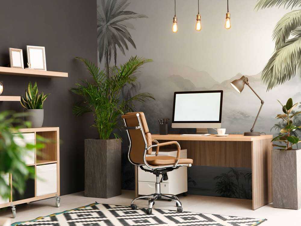 Panorama Tropicale Verde Montagna