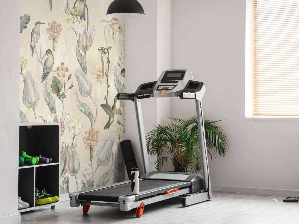 Sinfonia di Colibrì Primaverile - Sussurro del Deserto