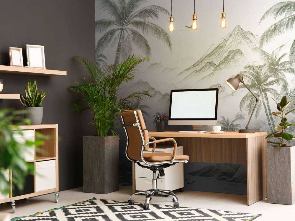 Baia Pacifica di Palme, verde