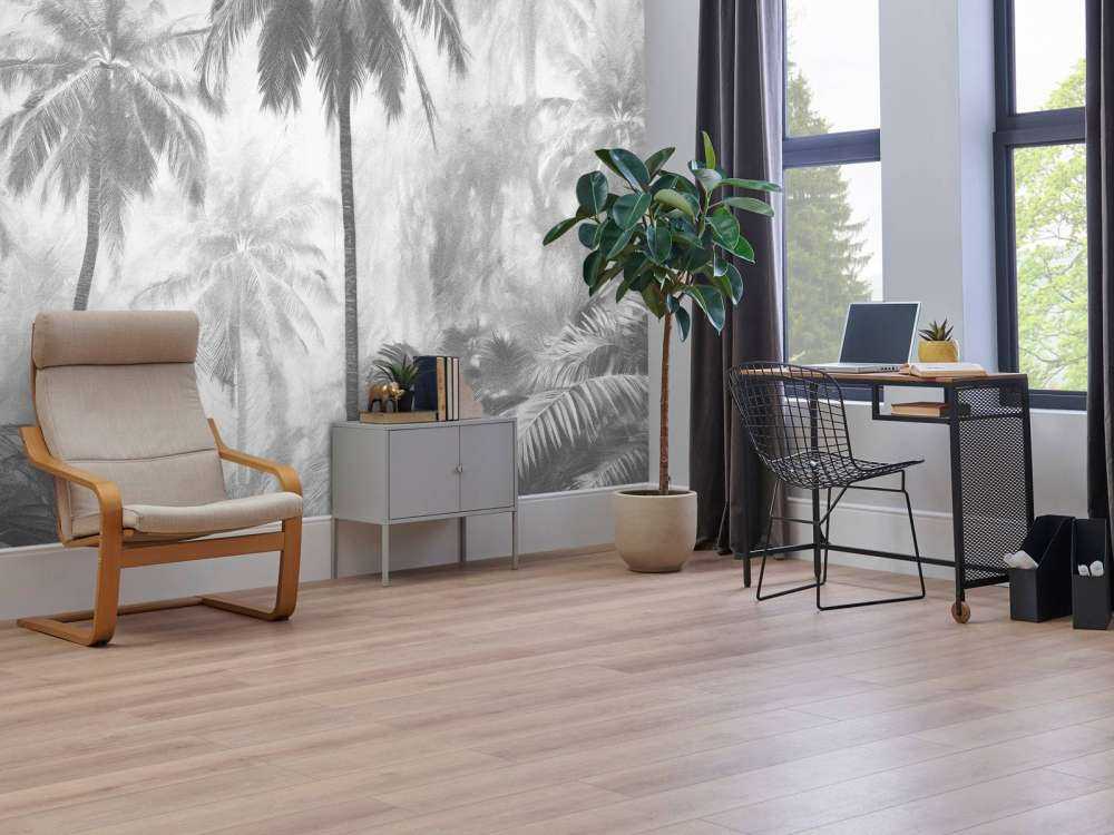 Foresta di Palme Nebbiosa