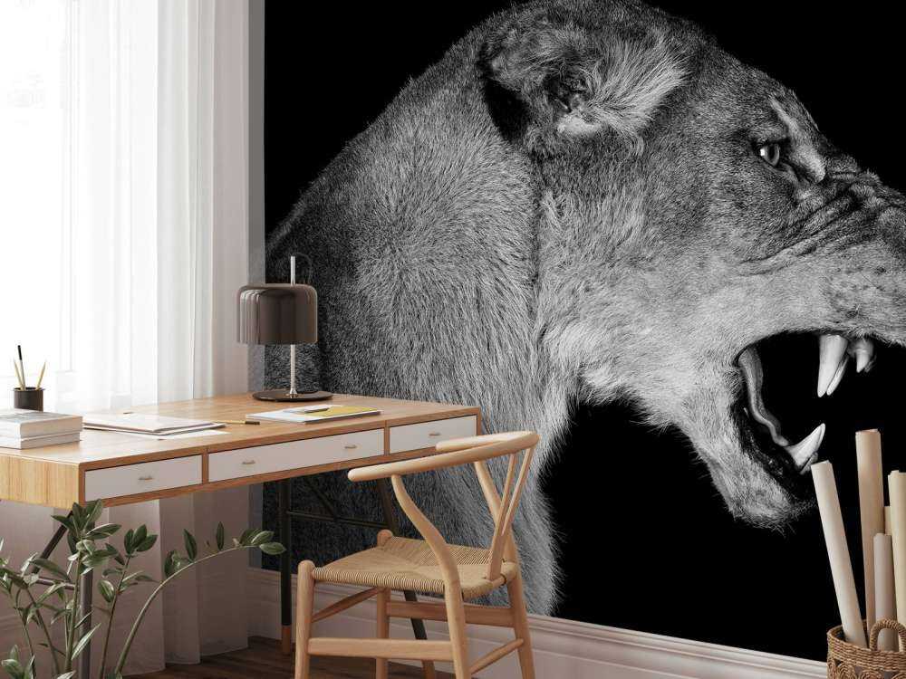 Vista laterale leonessa nera