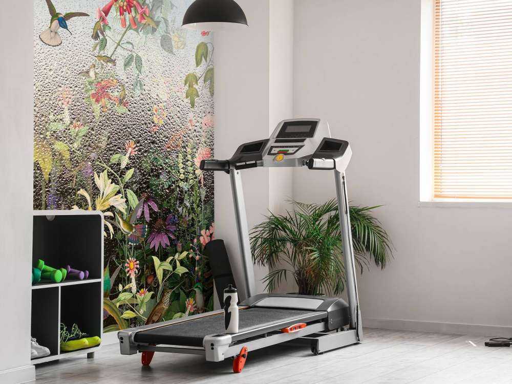 Paradiso degli Uccelli Piovosi