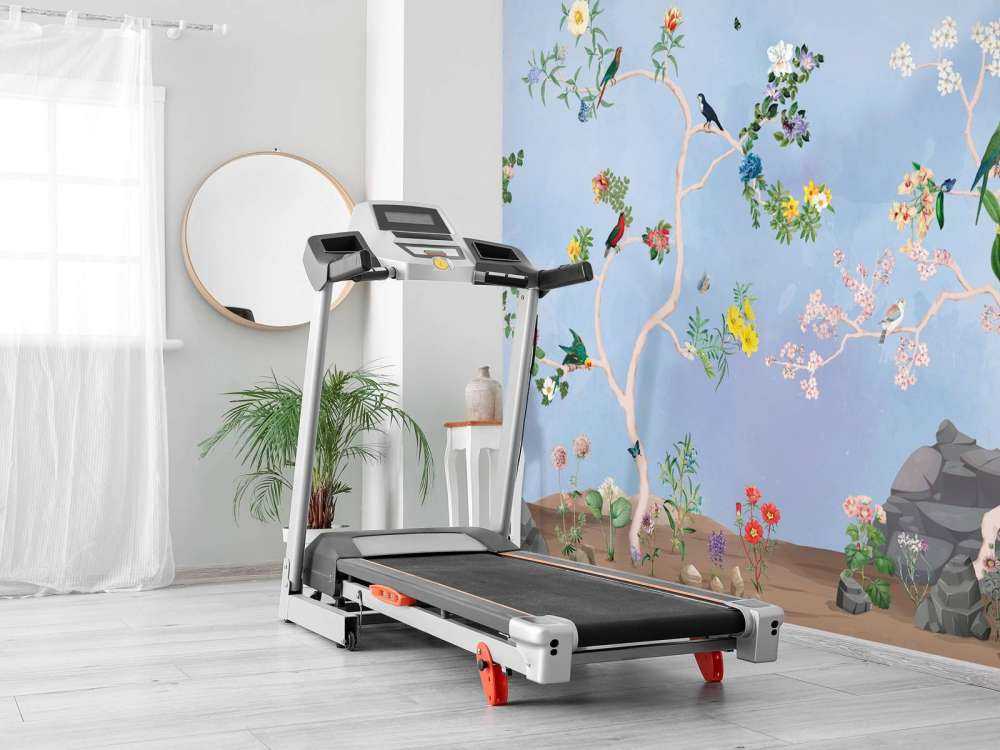 Uccelli nel Giardino Panorama Blu