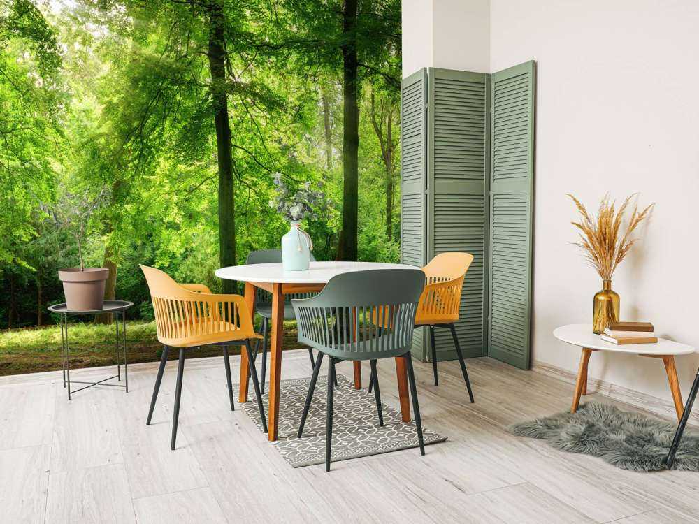 Foresta con nebbia leggera