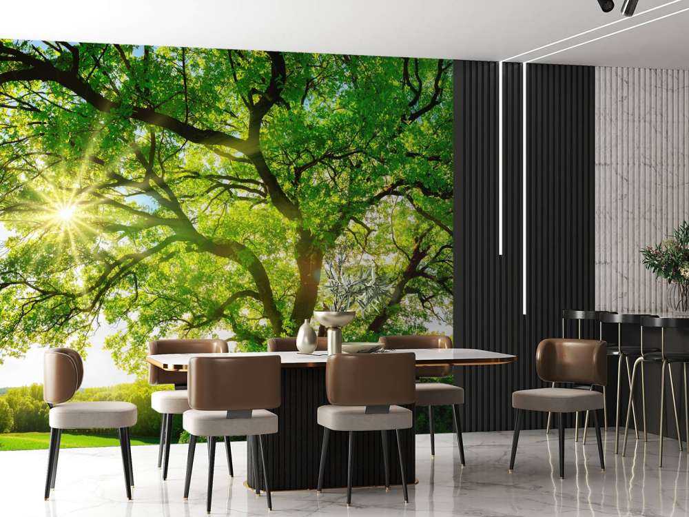 Albero con raggi di sole