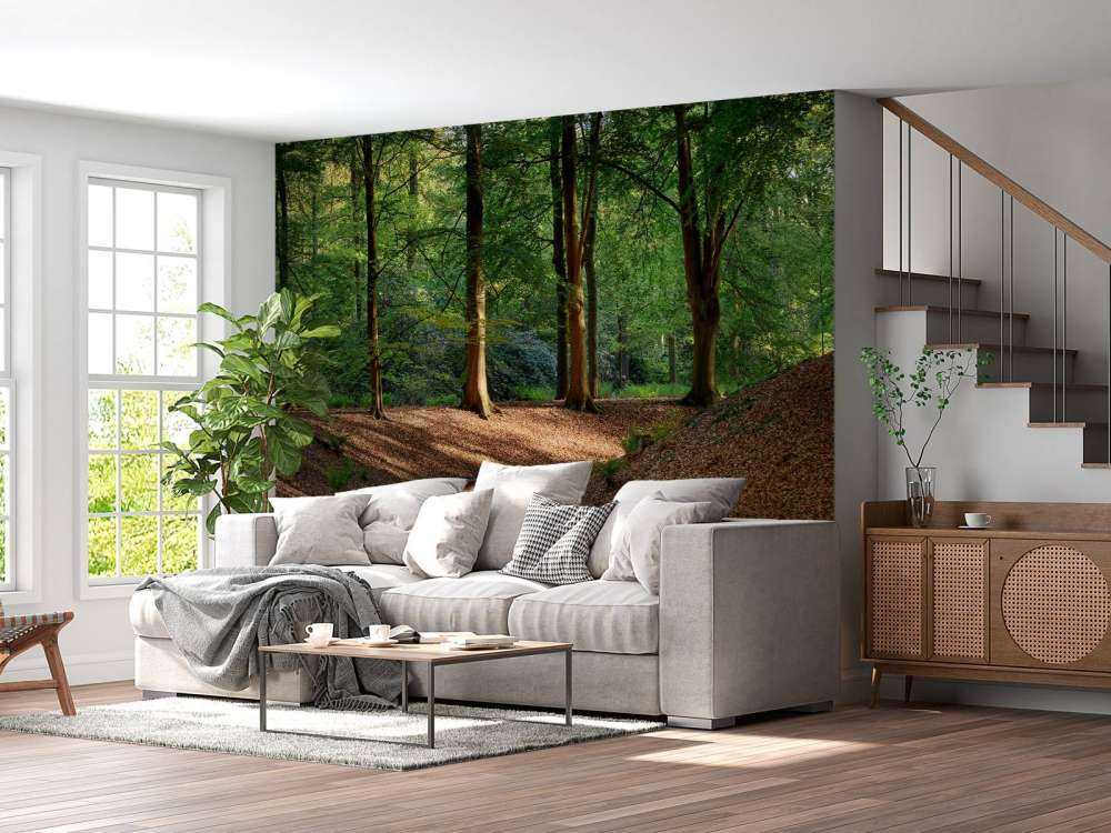 Brooklet nella foresta 