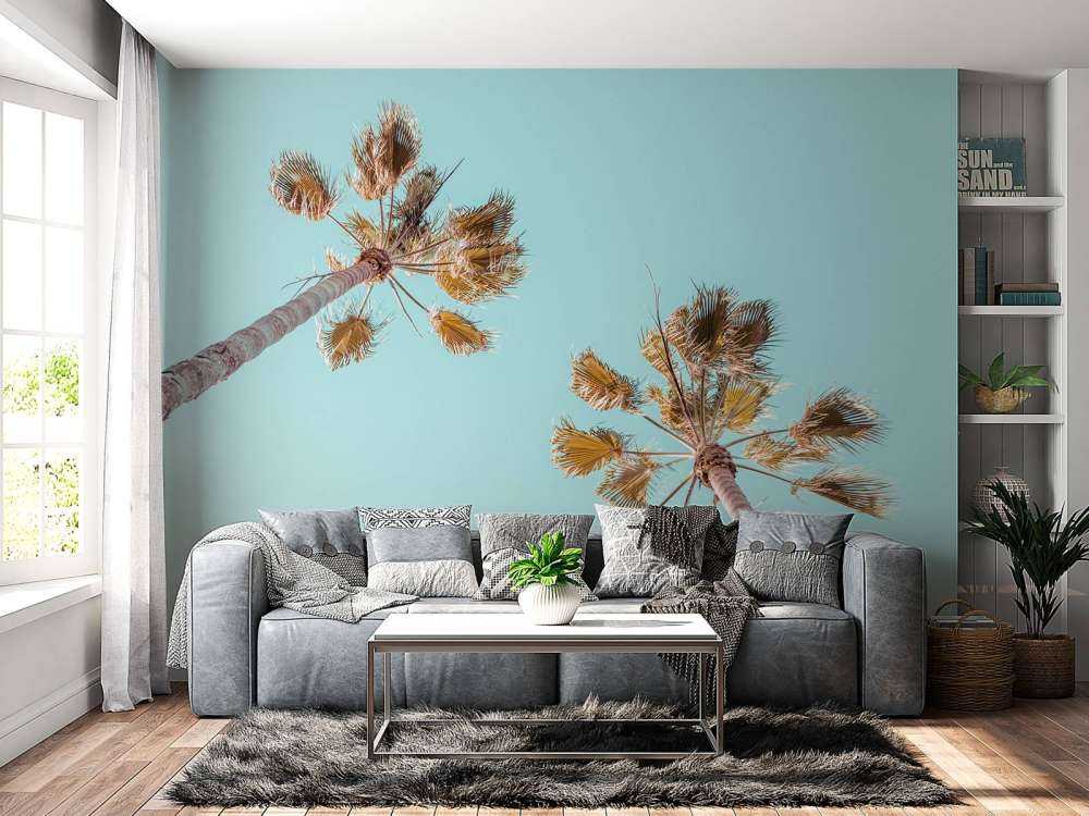 Palme e cielo azzurro