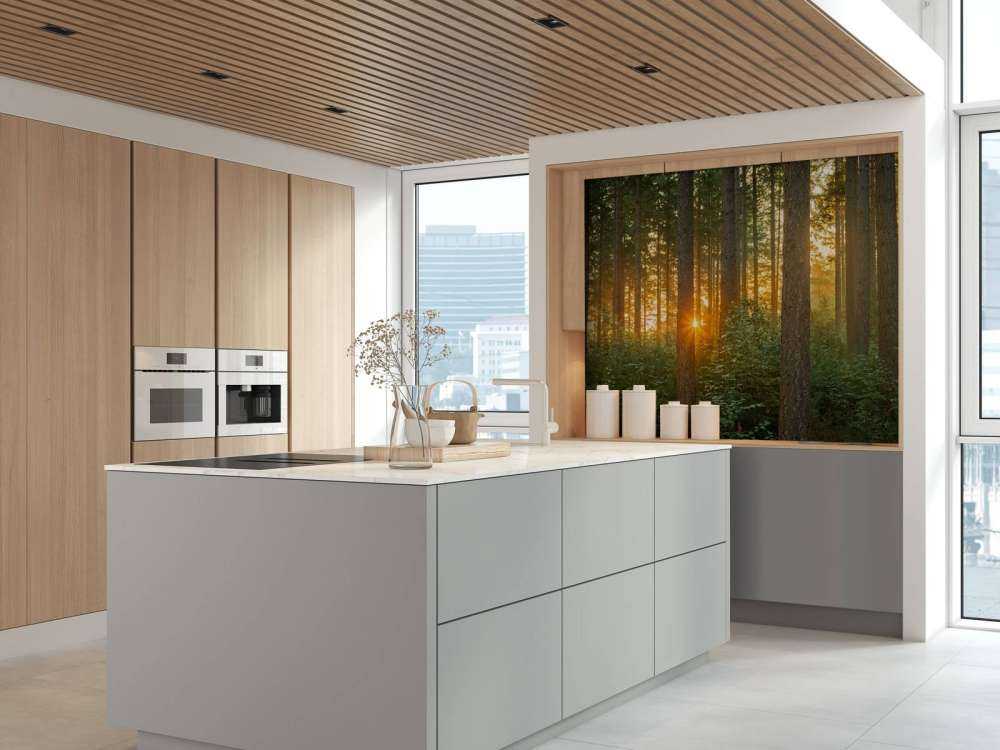 Raggi di sole in una foresta di conifere