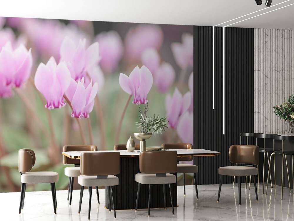 Bellissimi fiori di edera