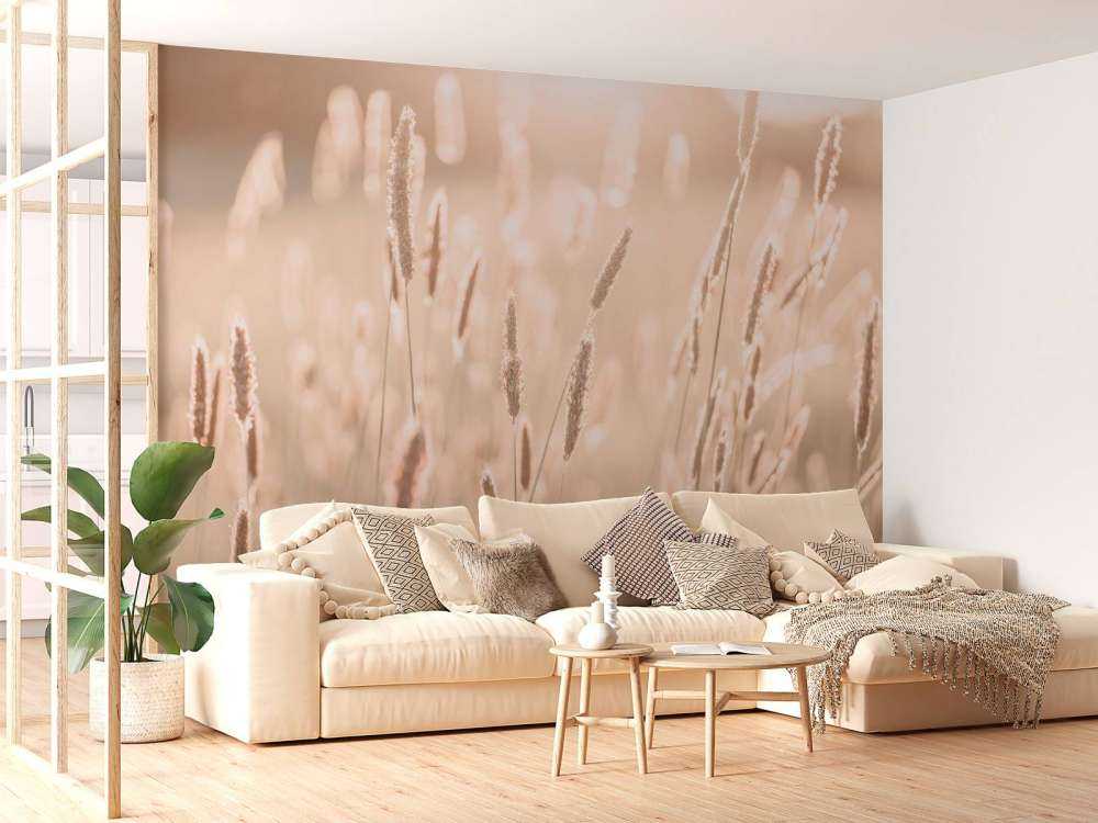 La luce del sole sul prato