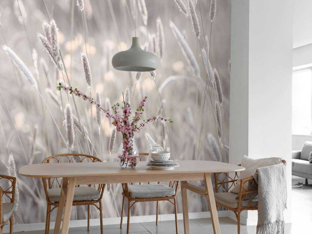 Primo piano di un prato