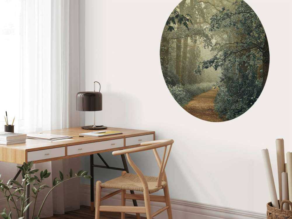 Sentiero nella foresta con nebbia