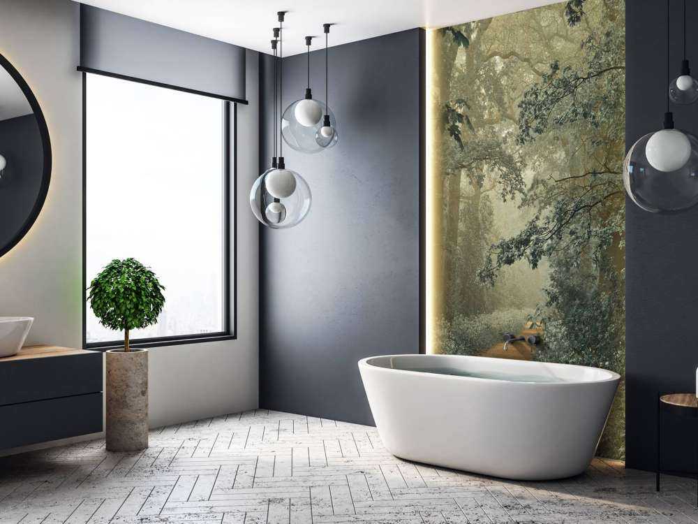 Sentiero nella foresta con nebbia