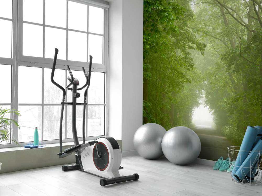 Foresta verde con sentiero nebbioso