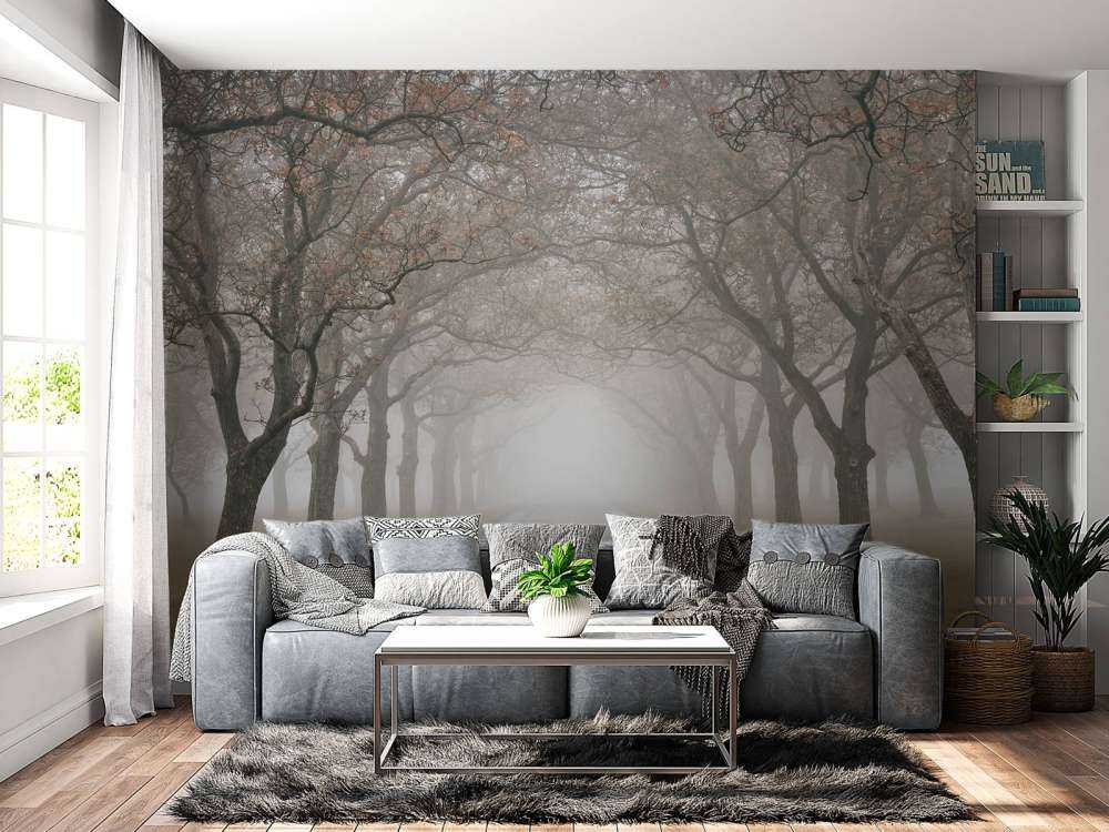 Strada con alberi secolari