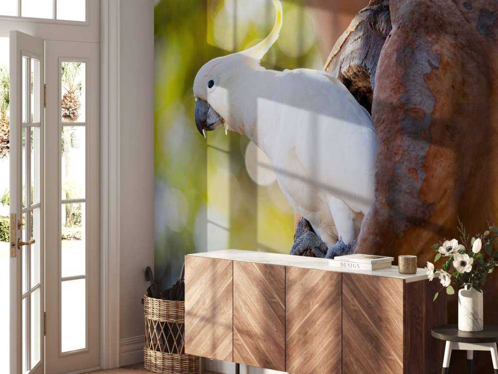 Cacatua in cavità dell'albero