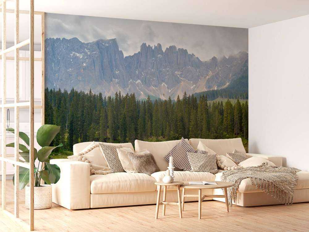 Filare di alberi vicino a un lago di montagna