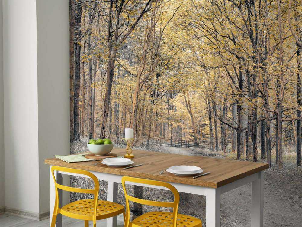 Strada forestale in autunno