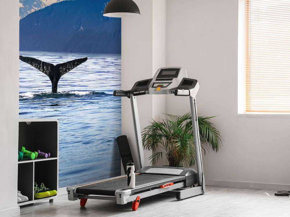 Immersione di balene con le montagne sullo sfondo