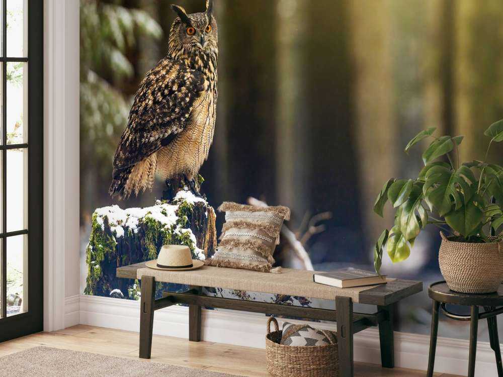 Gufo in foresta innevata